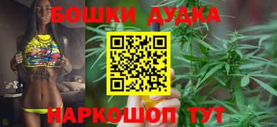 дживик Кингисепп