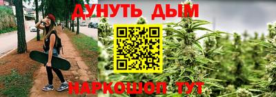 дживик Кингисепп