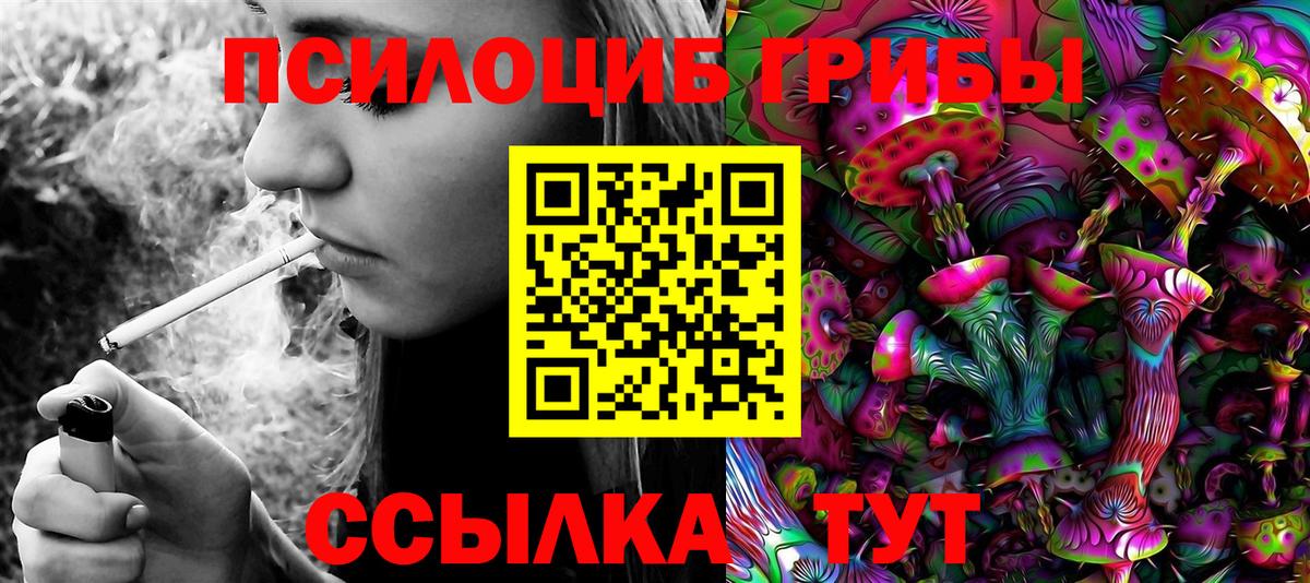 Псилоцибиновые грибы Psilocybe  Вход с VPN  Кумертау 